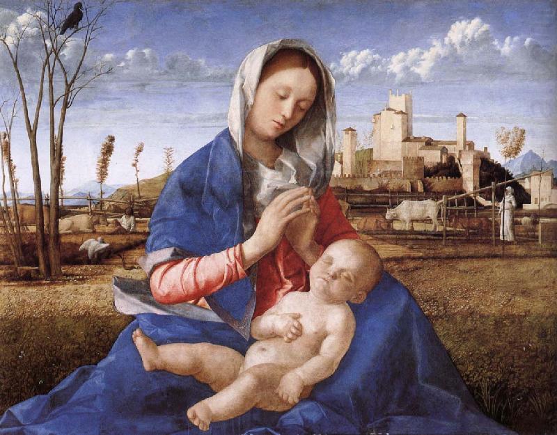 Giovanni Bellini Madonna pa indicated oil painting picture